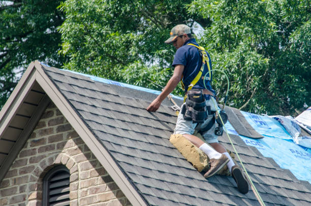 Best Roof Gutter Cleaning  in San Bruno, CA